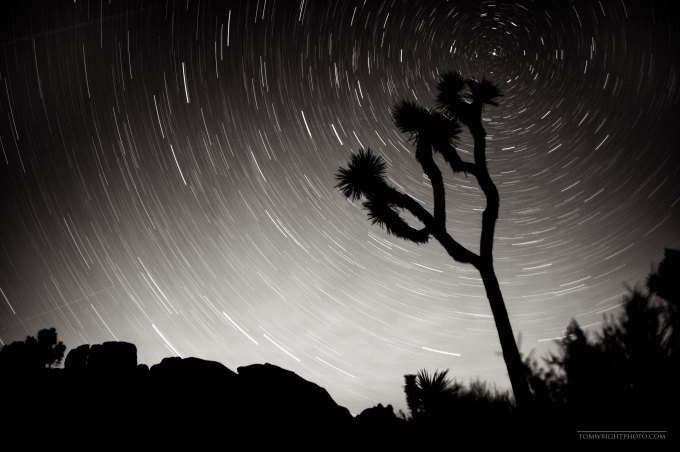 Night shot in Joshua Tree National Park, wasn't far enough from city lights to get a completely dark sky but I like how it came out.